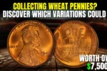 Collecting Wheat Pennies