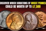 Collecting Wheat Pennies