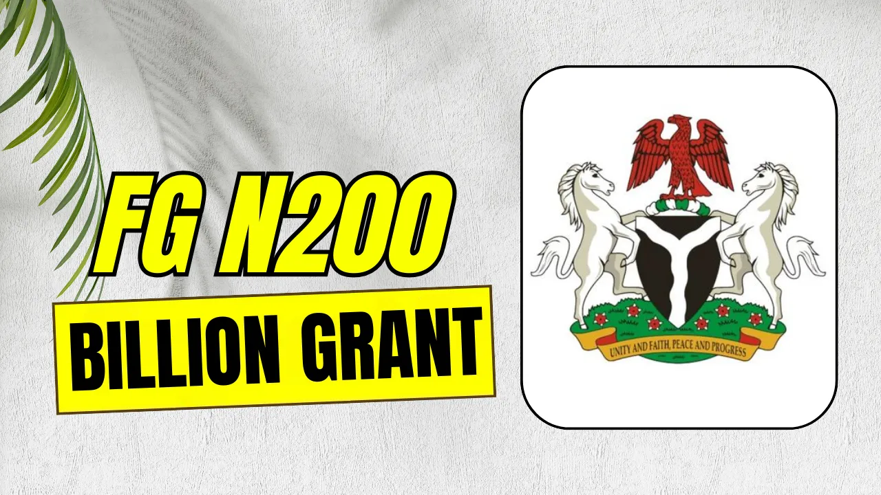 FG-N200-Billion-Grant